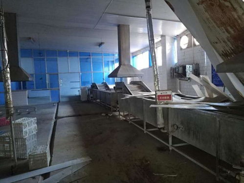 鹽城海馬食品資產網絡拍賣啟幕，廠房設備打包2115萬起拍引關注